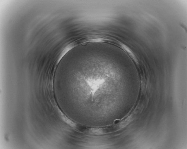 X0000096221194200801251050