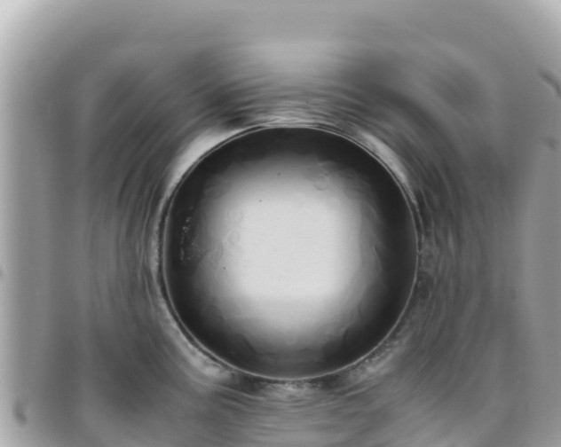 X0000096221195200801251050