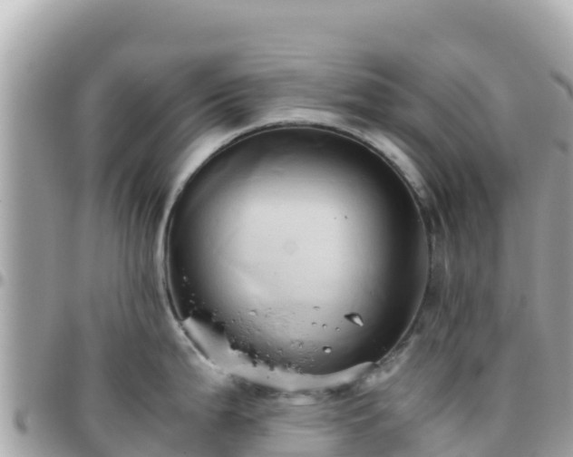 X0000096221199200801251050