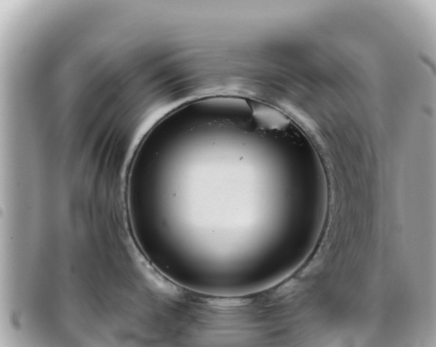 X0000096221200200801251050