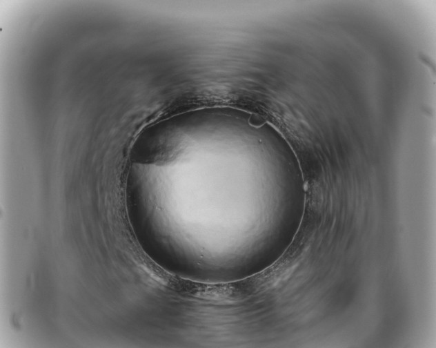 X0000096221201200801251049