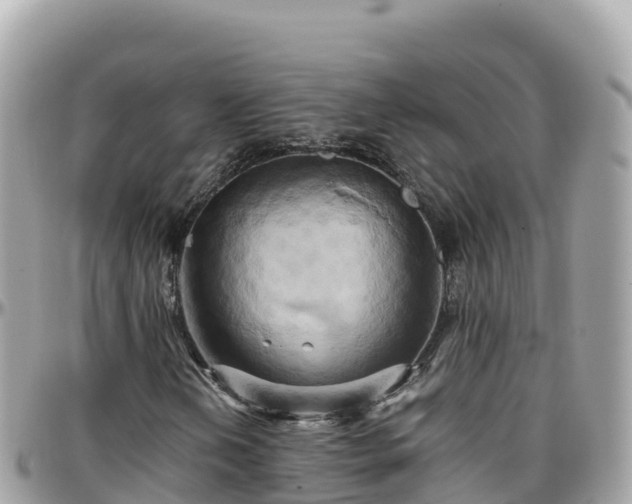 X0000096221202200801251049