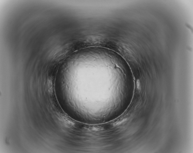 X0000096221203200801251049