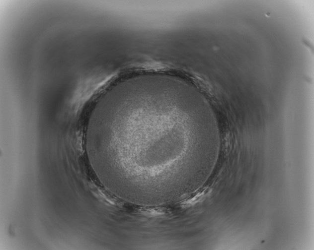 X0000096221205200801251049