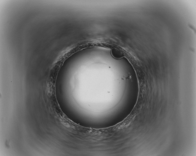 X0000096221207200801251049