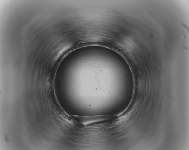 X0000096221210200801251049