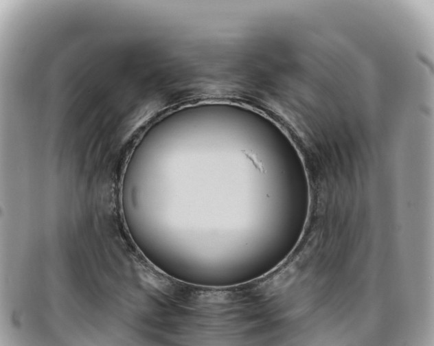 X0000096221211200801251049