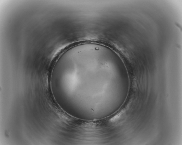 X0000096221214200801251049