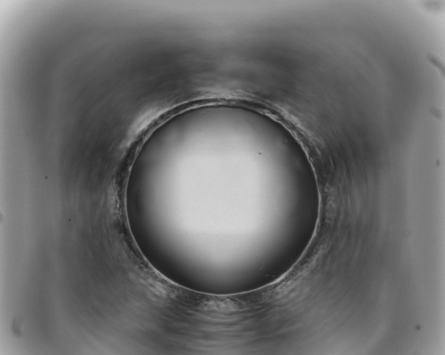 X0000096221215200801251049