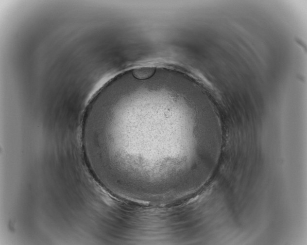 X0000096221216200801251049