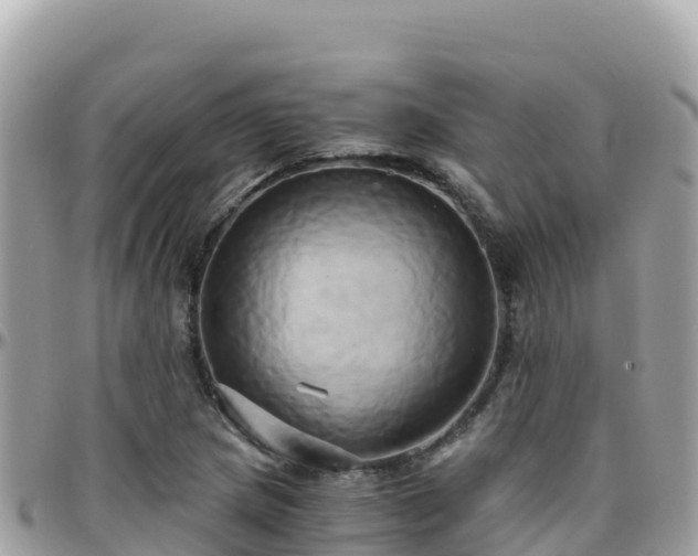 X0000096221217200801251049