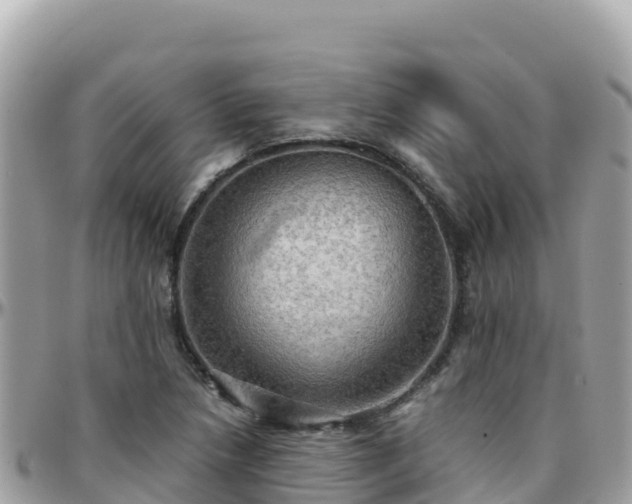 X0000096221218200801251049