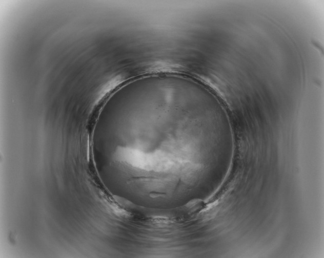 X0000096221219200801251049