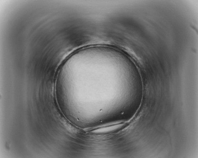 X0000096221220200801251049