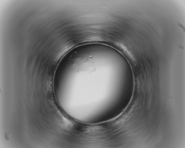 X0000096221225200801251049