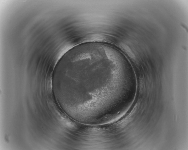 X0000096221226200801251049