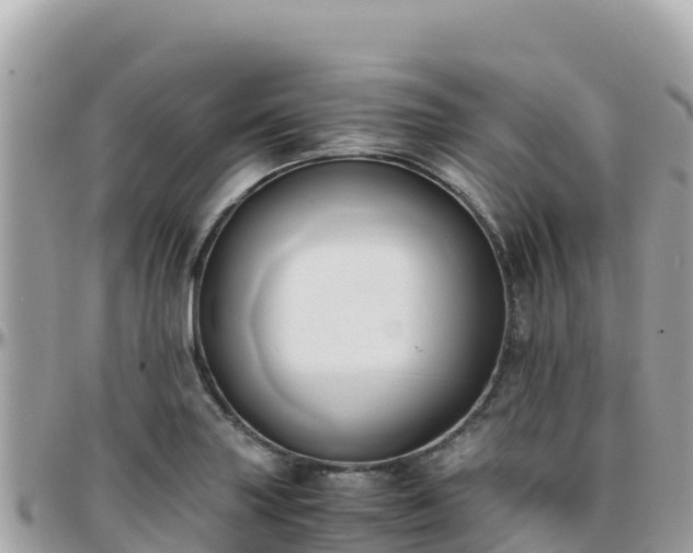 X0000096221227200801251049