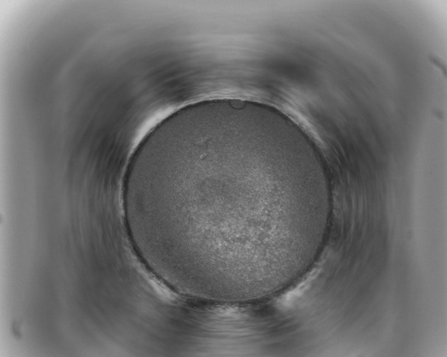 X0000096221230200801251049