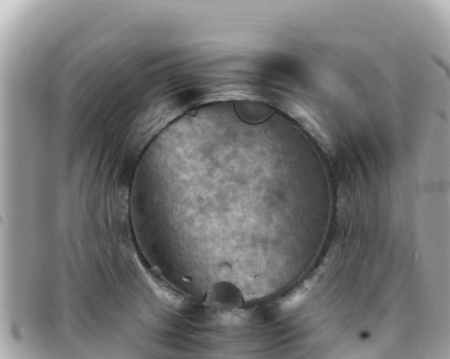 X0000096221233200801251049