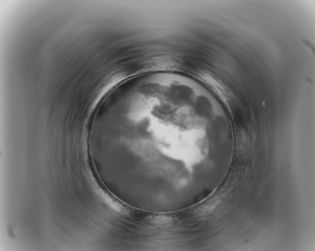 X0000096221235200801251049