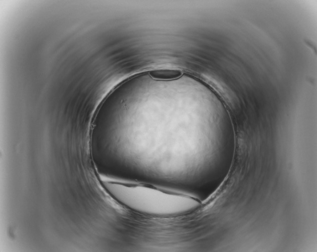 X0000096221236200801251049