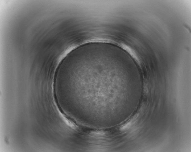 X0000096221237200801251049