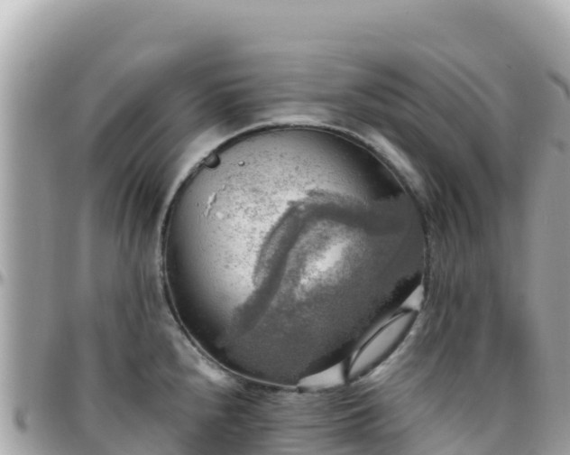 X0000096221240200801251049