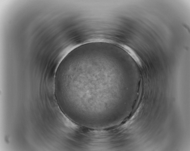 X0000096221244200801251049