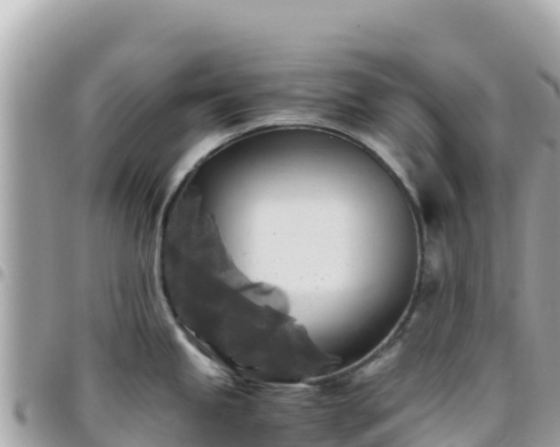 X0000096221245200801251049