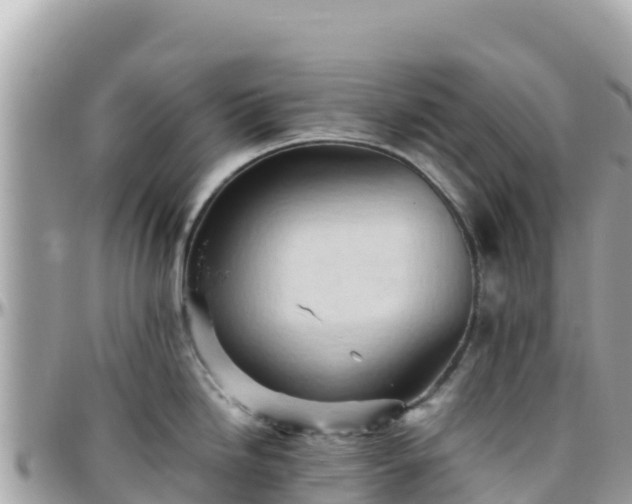 X0000096221246200801251049