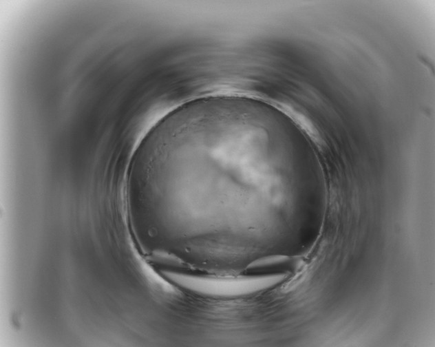 X0000096221247200801251049