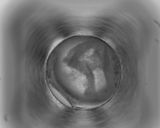 X0000096221248200801251049