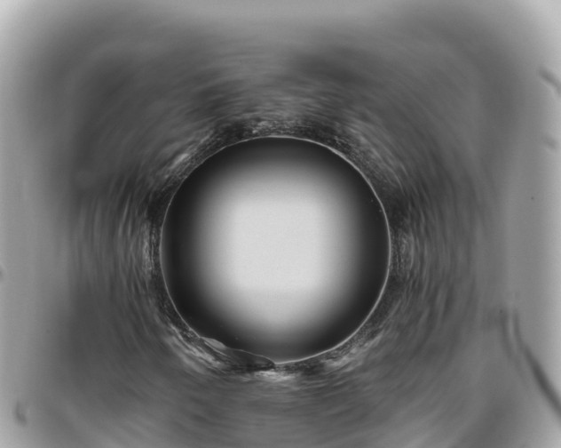 X0000096221250200801251049