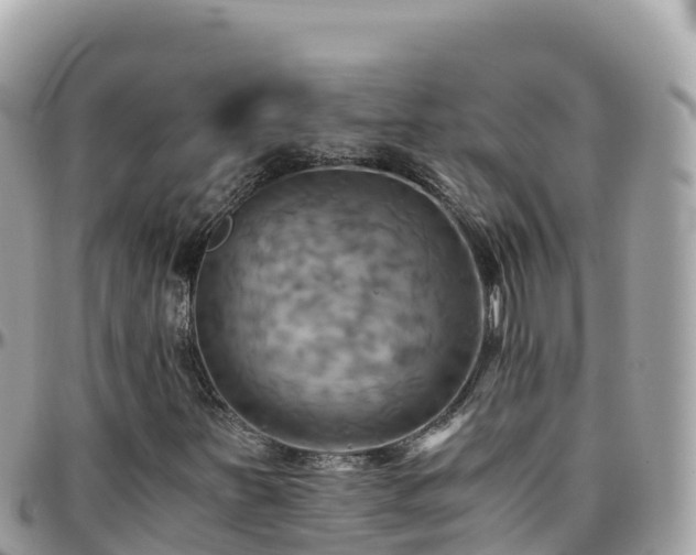 X0000096221251200801251049