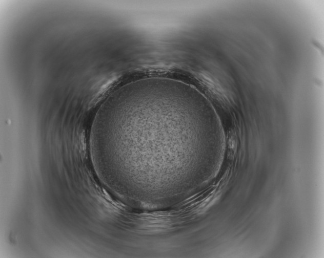 X0000096221252200801251049