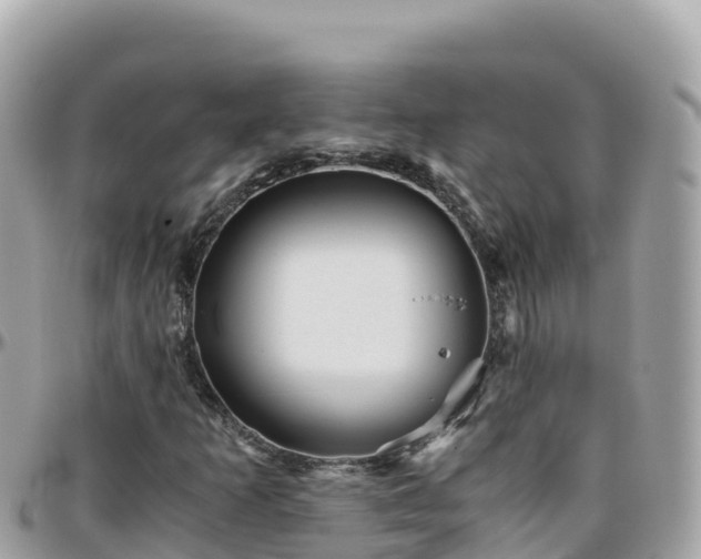 X0000096221253200801251049