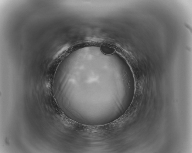 X0000096221254200801251049