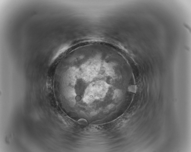 X0000096221255200801251049