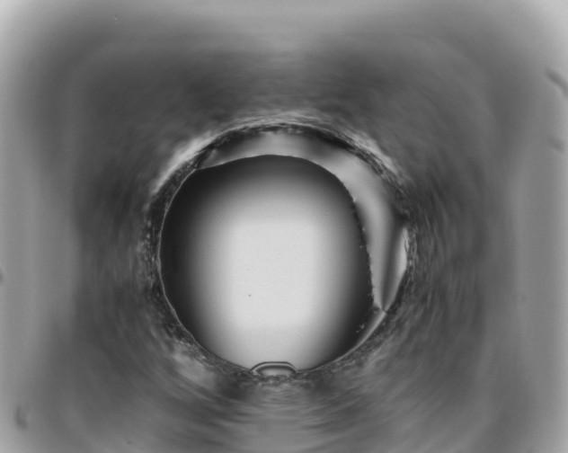 X0000096221256200801251049