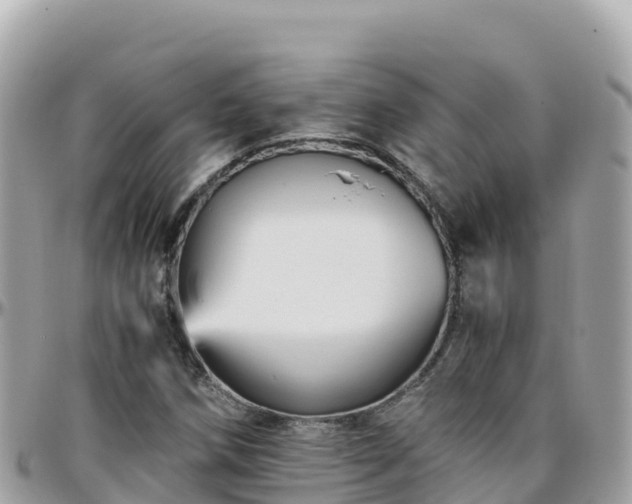 X0000096221258200801251049