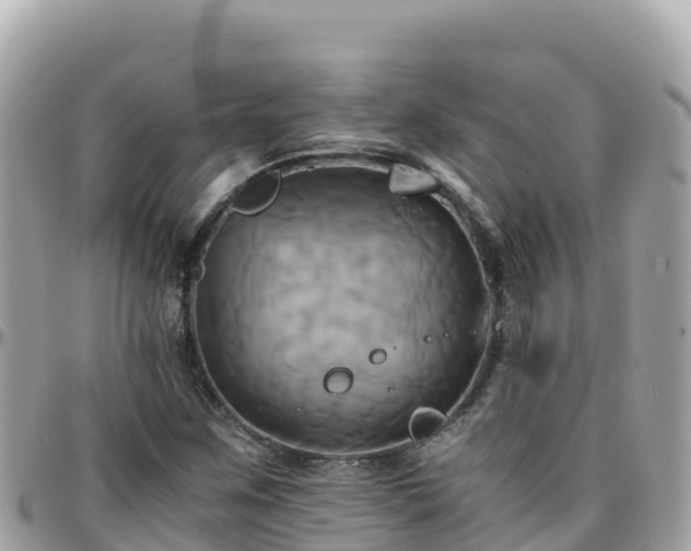 X0000096221259200801251049