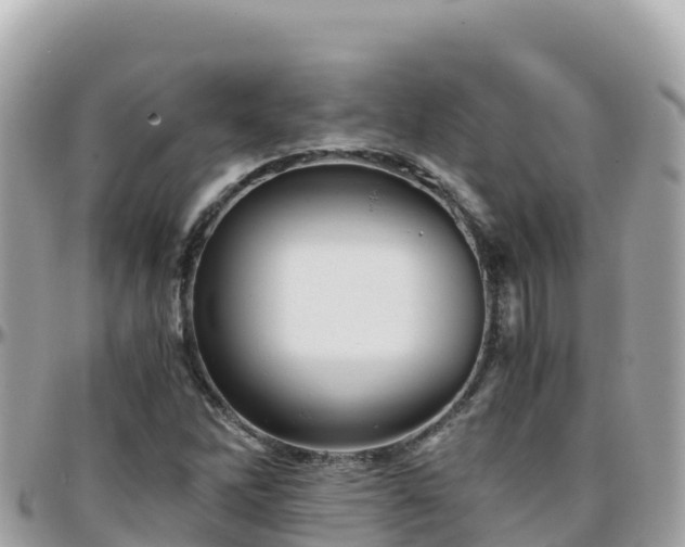 X0000096221262200801251049