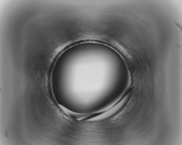 X0000096221264200801251049