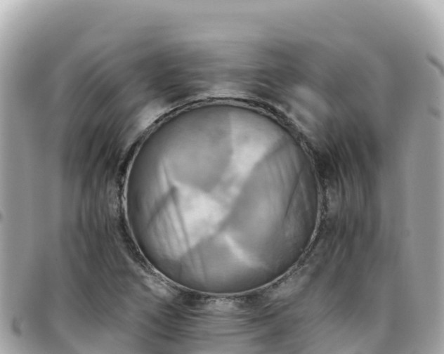 X0000096221266200801251049