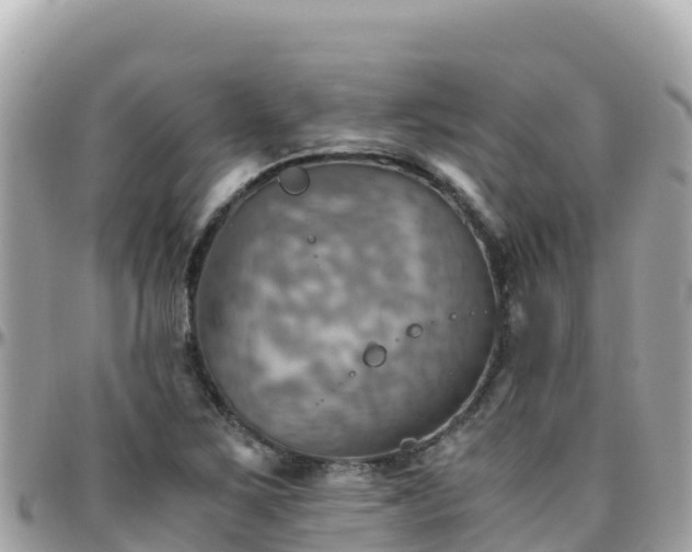 X0000096221267200801251049