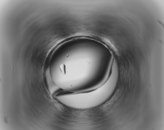 X0000096221268200801251049