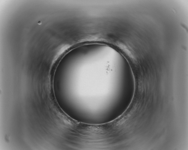 X0000096221270200801251049