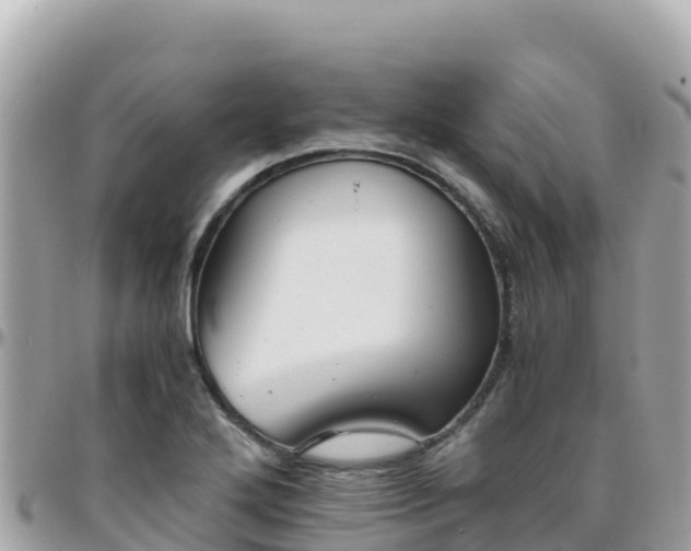 X0000096221272200801251049