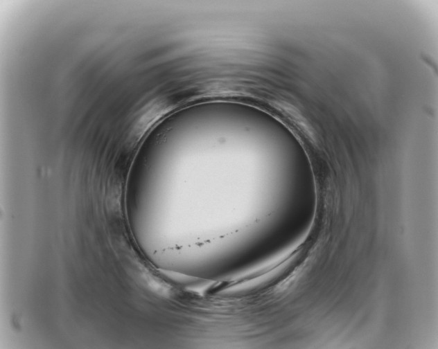 X0000096221273200801251049