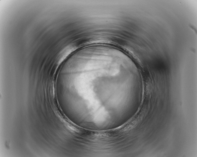 X0000096221274200801251049